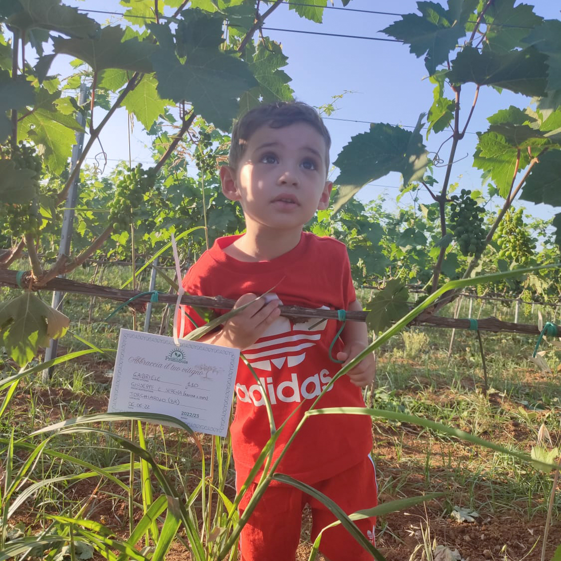 f2ffab5b-600c-4d65-8935-57261d0356fd