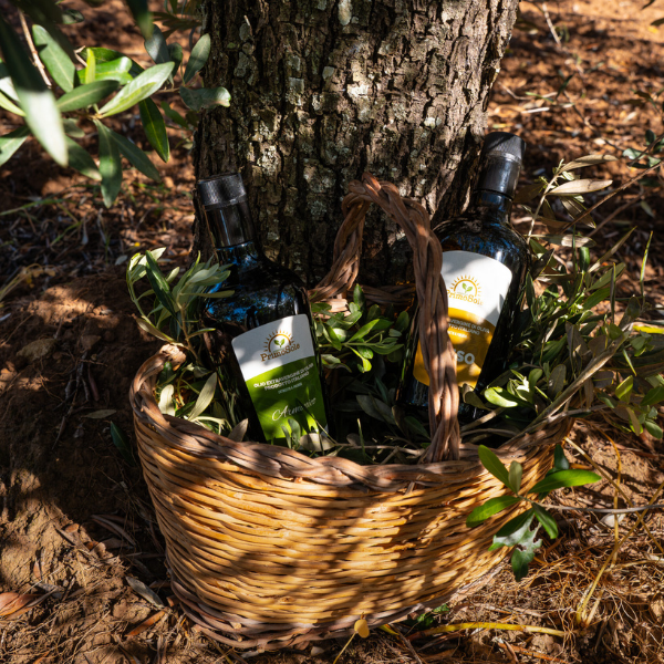 olio extravergine di qualità prodotto nel Salento