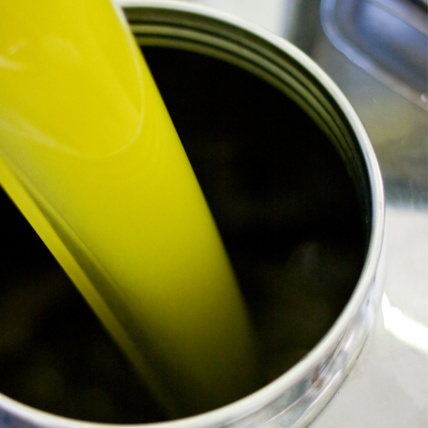 Estrazione a freddo olio extravergine di oliva Agricola PrimoSole